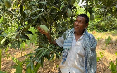 Farming Fame: 60-Year-Old Mitrabhanu Patel Leads by Example